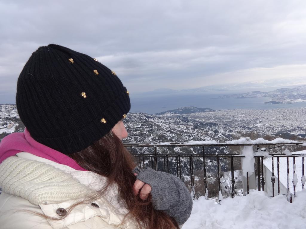 Αρχοντικό Κοίλια Ξενοδοχείο Μακρινίτσα Εξωτερικό φωτογραφία