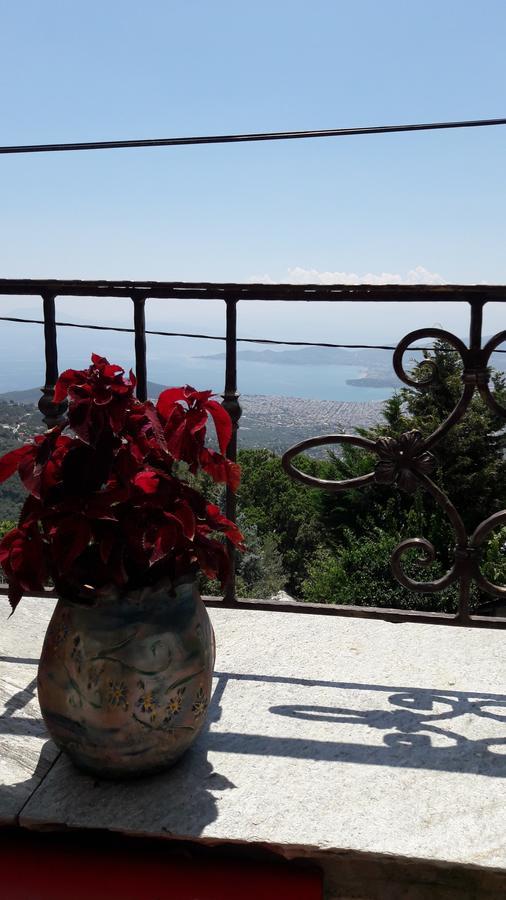 Αρχοντικό Κοίλια Ξενοδοχείο Μακρινίτσα Εξωτερικό φωτογραφία